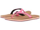 Hari Mari Scouts (neon Pink/black) Women's Sandals
