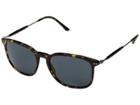 Giorgio Armani 0ar8098 (havana/grey) Fashion Sunglasses