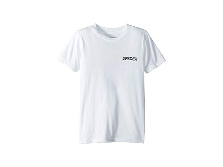 Spyder Kids Mountain Stripe Short Sleeved T-shirt (big Kids) (organic Salt/organic Salt) Boy's T Shirt