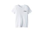 Spyder Kids Mountain Stripe Short Sleeved T-shirt (big Kids) (organic Salt/organic Salt) Boy's T Shirt