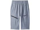 Nike Kids Dry Basketball Short (little Kids/big Kids) (wolf Grey/black/black) Boy's Shorts
