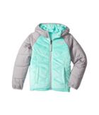 The North Face Kids Reversible Perseus Jacket (little Kids/big Kids) (bermurda Green (prior Season)) Girl's Coat