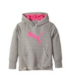 Puma Kids Cotton French Terry Hoodie