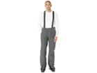 Spyder Sentinel Regular Pants (polar/polar) Men's Outerwear