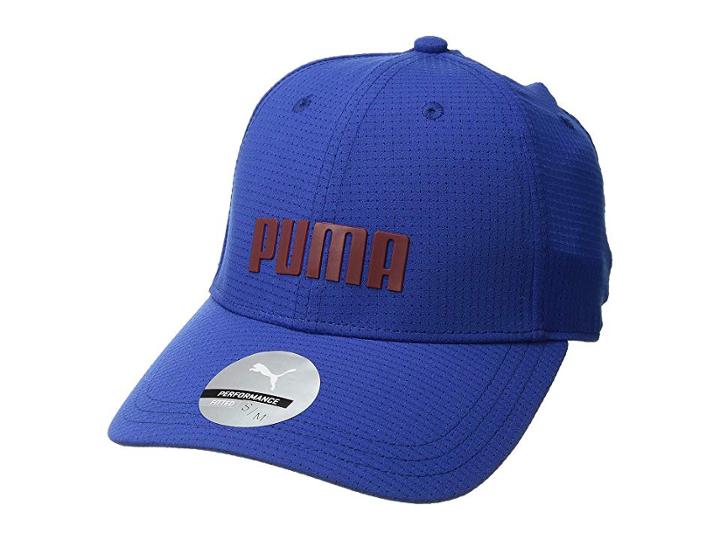 Puma Golf Breezer Fitted Cap (sodalite/pomegranate) Caps