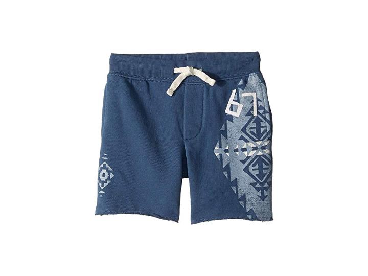 Polo Ralph Lauren Kids French Terry Graphic Shorts (little Kids) (clancy Blue) Boy's Shorts