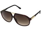 Guess Gf5029 (shiny Havana/brown Gradient Lens) Fashion Sunglasses