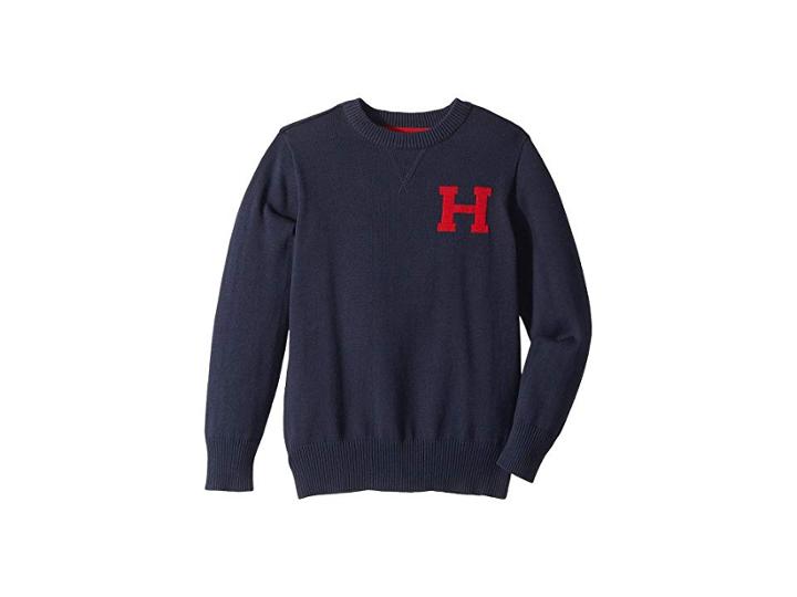 Tommy Hilfiger Kids Matt Logo Sweater (big Kids) (swim Navy) Boy's Sweater