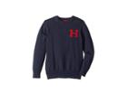 Tommy Hilfiger Kids Matt Logo Sweater (big Kids) (swim Navy) Boy's Sweater