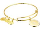 Alex And Ani Charity By Design Zest For Life Ii Charm Bangle (shiny Gold Finish) Bracelet