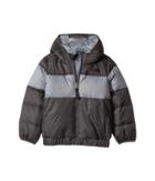 The North Face Kids Moondoggy 2.0 Down Jacket (toddler) (graphite Grey (prior Season)) Boy's Coat