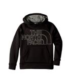 The North Face Kids Surgent 2.0 Pullover Hoodie (little Kids/big Kids) (tnf Black) Boy's Sweatshirt