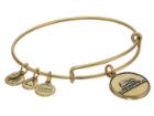 Alex And Ani Seattle Seahawks Logo Charm Bangle (rafaelian Gold Finish) Bracelet
