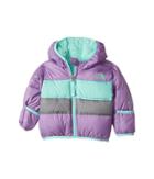 The North Face Kids Moondoggy 2.0 Down Jacket (infant) (bellflower Purple (prior Season)) Kid's Coat