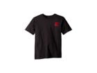 The North Face Kids Short Sleeve Graphic Tee (little Kids/big Kids) (graphite Grey/tnf Red/tnf Red (prior Season)) Boy's Clothing