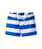 Tommy Hilfiger Kids Rugby Stripe Shorts With Belt (little Kids/big Kids) (regatta Blue) Girl's Shorts