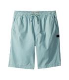 Billabong Kids Larry Layback Shorts (big Kids) (dark Ozone) Boy's Shorts