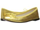 Repetto Cendrillon (oasis) Women's Flat Shoes
