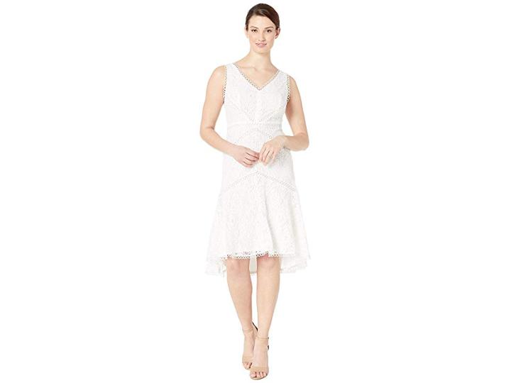 Taylor V-neck Sleeveless Lace Dress (ivory) Women's Dress