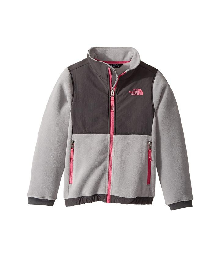 The North Face Kids Denali Jacket (little Kids/big Kids) (metallic Silver (prior Season)) Girl's Coat
