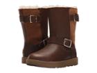 Ugg Breida Waterproof (chestnut) Women's Boots