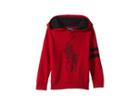Polo Ralph Lauren Kids Big Pony Merino Wool Hoodie (toddler) (park Avenue Red) Boy's Sweater