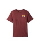 Vans Kids Grizzly Mountain T-shirt (big Kids) (burgundy Heather) Boy's T Shirt