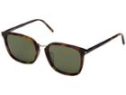 Saint Laurent Sl 131f Comb (avana/avana/grey) Fashion Sunglasses