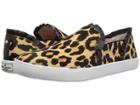Kate Spade New York Lilly (black/amaretto Leopard Print Haircalf) Women's Shoes