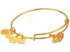 Alex And Ani Charity By Design Hermit Crab Bangle (yellow Gold) Bracelet