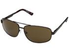Timberland Tb7119 (shiny Dark Brown/brown) Fashion Sunglasses