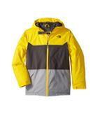 The North Face Kids Brayden Insulated Jacket (little Kids/big Kids) (canary Yellow (prior Season)) Boy's Coat