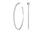French Connection Large Pave Hoop Earrings (crystal/rhodium) Earring
