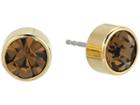 Michael Kors Mkj4696710 (gold Whiskey) Earring