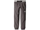 The North Face Kids Zeus Pants (little Kids/big Kids) (graphite Grey/tnf Medium Grey Heather (prior Season)) Boy's Casual Pants