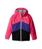 The North Face Kids Brianna Insulated Jacket (little Kids/big Kids) (petticoat Pink (prior Season)) Girl's Coat
