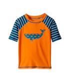 Hatley Kids Tiny Whales Short Sleeve Rashguard (toddler/little Kids/big Kids) (orange) Boy's Swimwear