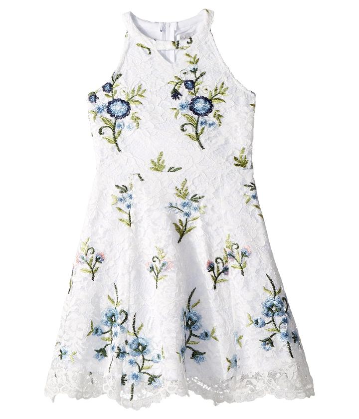 Us Angels Floral Lace Dress (big Kids) (white) Girl's Dress