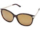 Kenneth Cole Reaction Kc2753 (dark Havana/brown Mirror) Fashion Sunglasses