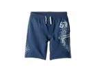 Polo Ralph Lauren Kids French Terry Graphic Shorts (big Kids) (clancy Blue) Boy's Shorts