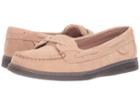Sperry Angelfish Suede (rose Dust) Women's Shoes