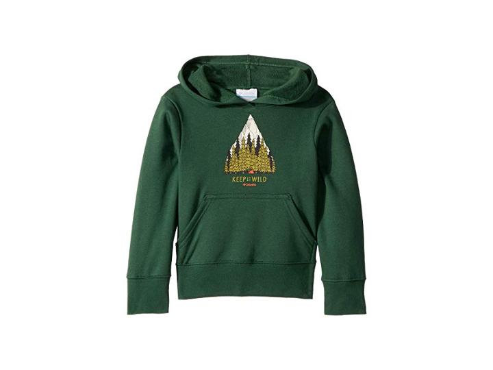 Columbia Kids Take A Hiketm Hoodie (little Kids/big Kids) (forest) Boy's Sweatshirt