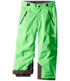 The North Face Kids Freedom Insulated Pants (little Kids/big Kids) (krypton Green (prior Season)) Boy's Outerwear