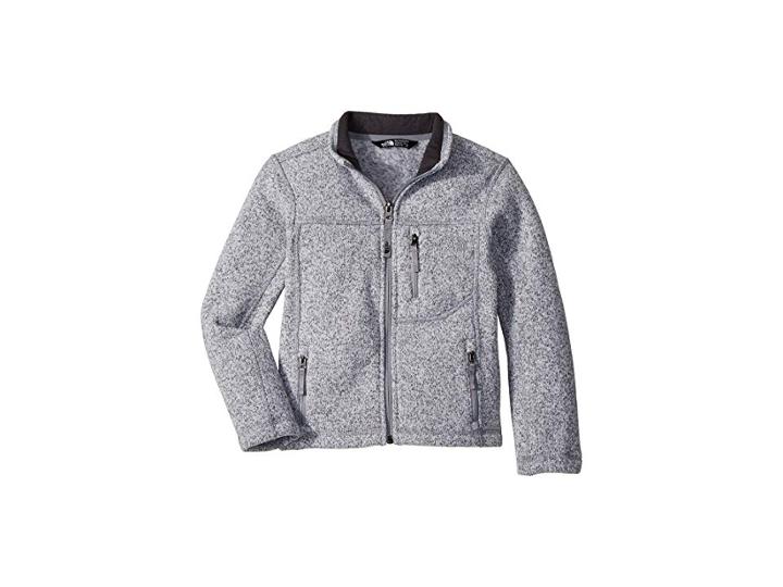 The North Face Kids Gordon Lyons Full Zip (little Kids/big Kids) (tnf Light Grey Heather/mid Grey) Boy's Fleece