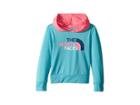The North Face Kids Long Sleeve Hike/water Tee (toddler) (blue Curacao/gem Pink (prior Season)) Boy's Sweatshirt