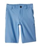 Quiksilver Kids Union Pinstripe Amphibian Shorts (big Kids) (riviera) Boy's Shorts
