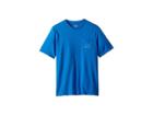 Vineyard Vines Kids Short Sleeve Vintage Whale Pocket T-shirt (toddler/little Kids/big Kids) (brilliant Blue) Boy's T Shirt
