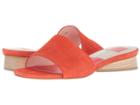 Dolce Vita Adalea (orange Suede) Women's Shoes