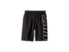 Nike Kids Logo Breaker 8 Trunk (big Kids) (black) Boy's Swimwear