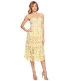 Donna Morgan Chemical Lace Spaghetti Strap Midi (blossom Yellow) Women's Dress